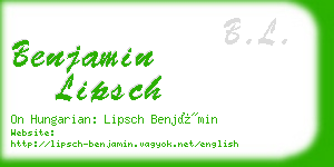 benjamin lipsch business card